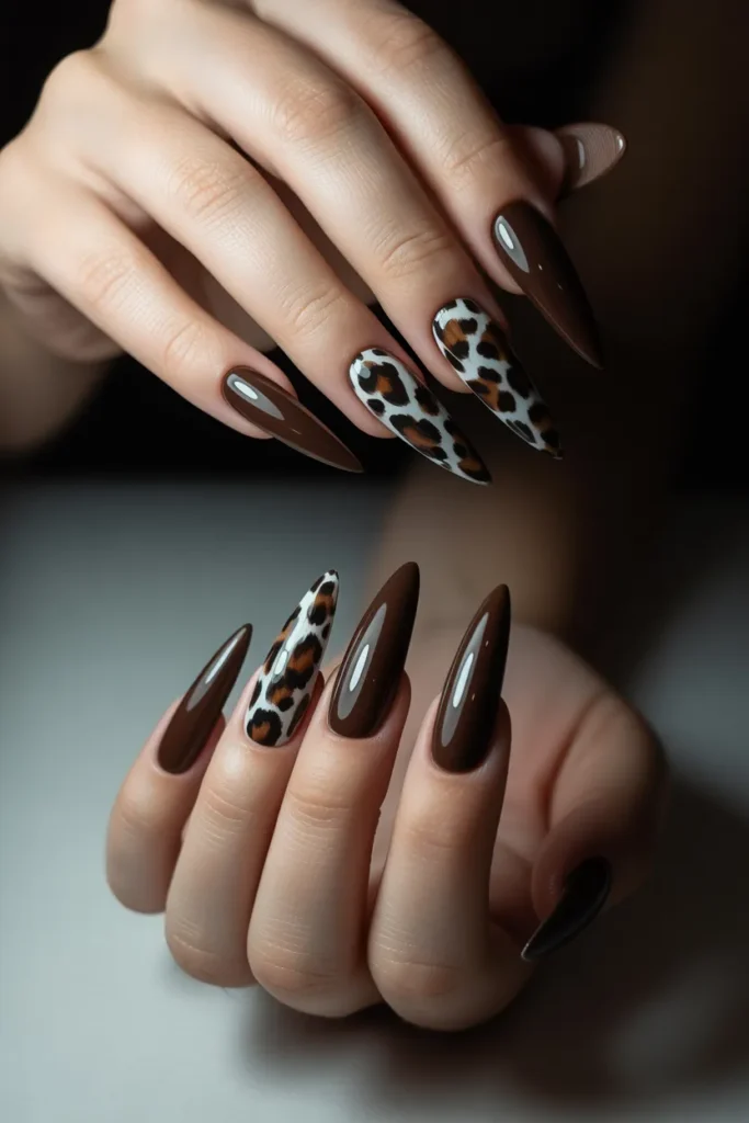 Chocolate Brown with Animal Print Accent